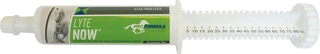 Uckele Lyte Now Syringe for Horses - フルスペクトラム ホース用電解質ペースト - Equine ミネラル液補充 - 3 用量 - 80 CC