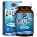 OmegaXanthin、EPA、DHAの補足、1200のmg Omega 3の魚油、アスタキサンチン及びブラウンの海藻のエキス- 60のSoftgelsとのOmega-3の庭
