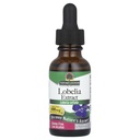 Nature?s 回答 Lobelia Herb Lobelia Inflata - ナチュラルハーブサプリメント - Glutenアルコールフリー - 免疫の全体的な健康に理想的 ? 690mcg (1 FL Oz)