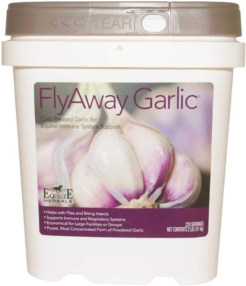 FlyAway Garlic. 馬のためのフィードスルーサプリメント. 100%の風邪押されたニンニクの粉は健康な免疫、呼吸器および消化器系を支えます。 自然療法の代理店。集中された方式。(2つのLbs)。