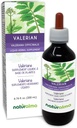 ナチュラルマ・ヴァレリアン(Valariana officinalis) ルートアルコールフリーのチンキ - 6.76 fl oz 液体エキス ドロップ - ハーブサプリメント - ビーガン