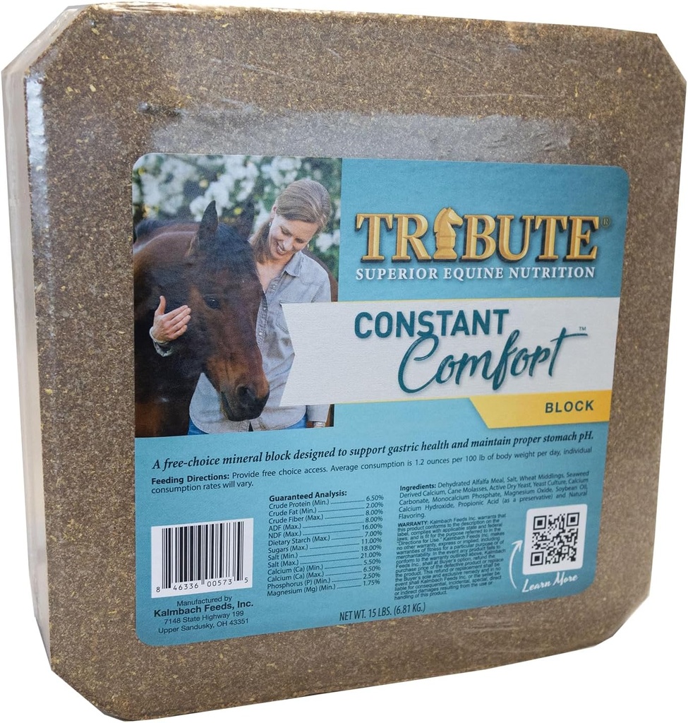 Constant Comfort Supplement Block to Support Gastric Health in Horses, 15 lb
