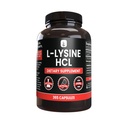ピュアの元のINGREDIENTS L-Lysine HCl (365のカプセル)マグネシウムか米の注入口無し、常に純粋、実験室は確認しました