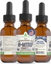 RawGuru L-Methylfolate 15 mg + ビタミンB12 - 有機ビーガンメチル化B12 トレースミネラル - ナノ加工&強化液体式 - 300 30mlあたりビーガンドロップをサービング、パック1