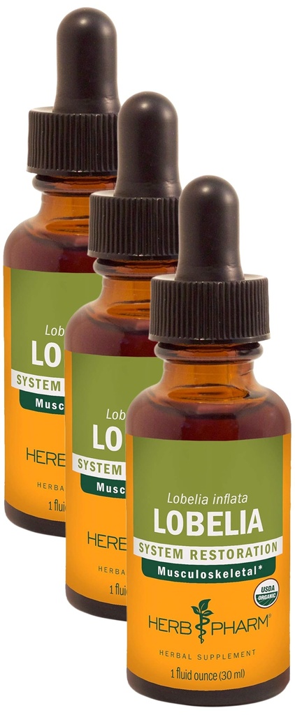 Herb PharmはMusculoskeletalシステム サポートのための有機性ロベリアの液体のエキスを- 1つのOunce (DLOBEL01)証明しました(3)のパック