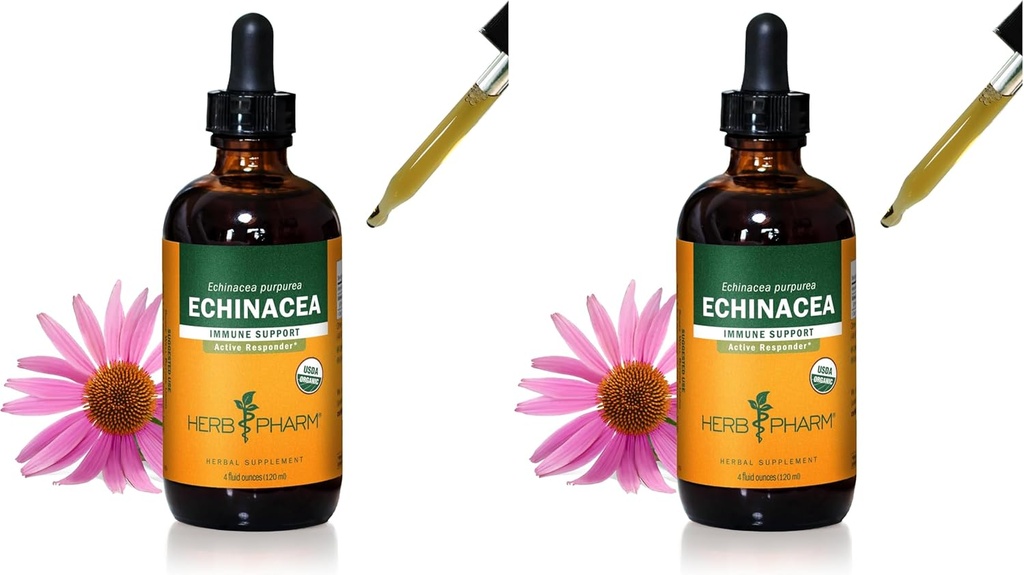 ハーブの Pharm は免疫システム サポート、有機性 Cane アルコール、4 つの Ounce の有機性 Echinacea の根の液体のエキスを証明しました(2 のパック)