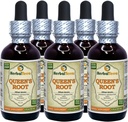 クイーンズ・ルート(Stillingia Sylvatica)チンキ、ドライ・ルーツ・液体エキス(ブランド名:HerbalTerra、米国製)5x2 fl.oz (5x60 ml)