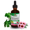 Nature's Answer Echinacea&Goldenseal with Organicアルコール - 流動オンス