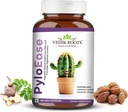 PyloEase | Ayurvedic Herbal Supplement 伝統的にダイジェスティブ・コンフォート&デイリー・バランスをサポートするために使用される | 消化器不快感からの救済と提携 | 60 Veg Capsule (1個入り)