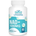 リポソームNAD+サプリメント1000mg | 最大のNAD Pontecy | マックス吸収 | 純粋なNADサプリメント | エネルギーとDNAの修理、老化の防衛、脳機能 | 60 Softgels