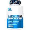 重量損失サポートのためのEVL L-カルニチンサプリメント - セルラーエネルギー焦点耐久性と脂肪燃焼サポートのためのLカルニチンタル酸塩 - 脂肪代謝のための興奮剤無料アミノ酸(120のサービング)
