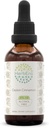 セイロンシナモンB60アルコールフリーハーブエキスのチンキ、濃縮液ドロップナチュラルシナモン(Cinnamo Verum)(2 fl oz)