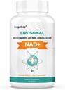 オルガベイ・リポソーム NAD+ サプリメント500mg、高吸収、TMG 250mg、実際のNAD +とブーストNAD +、ニコチンアミドリボシド、サポートセルラーエネルギー、健康な老化  60Softgels