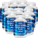 VITAMISAN 10 Bottles Celulas Madres Stem Cell Plus Capsules
