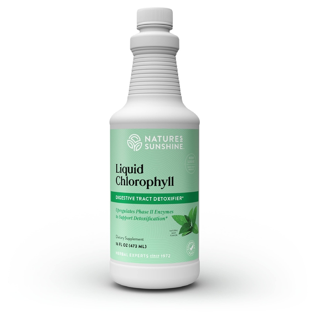 Nature's Sunshine Liquid Chlorophyll - 免疫サポート、デトックス&クレンジング、スペアミントオイル、自然エネルギーブースト、内部消臭剤 - 16 Fl Oz