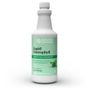 Nature's Sunshine Liquid Chlorophyll - 免疫サポート、デトックス&クレンジング、スペアミントオイル、自然エネルギーブースト、内部消臭剤 - 16 Fl Oz