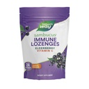 Nature's Way Sambucus Immune Lozenges、High Potency Vitamin C、Elderberry、24 トロピカル・フレーバー・ロゼンジ(パッケージ5月Vary)