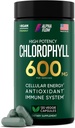 Chlorophyllのカプセル600のmg -女性及び人のための自然なChlorophyllの丸薬 - エネルギー、免除、皮+内部の消臭剤のための非常にBioAvailableChlorophyllの補足