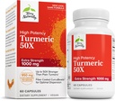 テリー自然にターメリック50X - 脳と心臓の健康サポートのための栄養補助食品 - エイド免疫の健康に余分な強度のターメリック - 非GMOサプリメント - 60カプセル