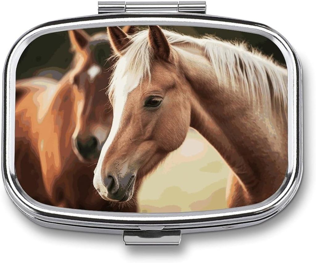 Pill Box 2 Compartment Medicine Pill Case Adorable Horse Printed Portable Pill Box Travel Pill Organizer for Pocket Purse Daily Medicine Vitamin Box Fish Oil Box Supplement Box