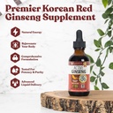 天然のGinsenosidesの活動的なGinsengの韓国の赤いPanaxのGinseng - 速い吸収の液体-サポート健康なエネルギー、活力、気分および多く