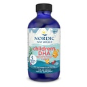 ノルディックナチュラルズ子供用DHA、いちご - 4 オンズキッズ用- 530 mg Omega-3 with EPA&DHA - 脳開発と機能 - 非GMO - 48 サービング