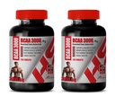 男性のための筋肉ビルダーの丸薬 - 粒状鎖のアミノ酸 - BCAA 3000MG - bcaa 列車および回復 - 2 本のびん 240 のタブレット
