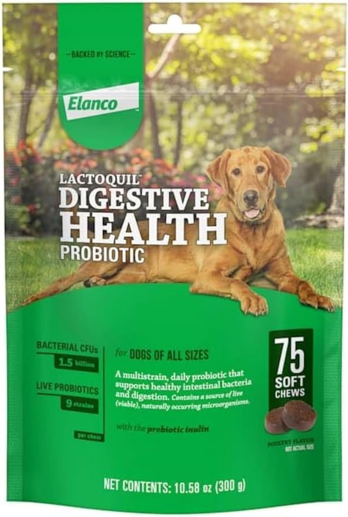 Elanco Lactoquilの犬、75の計算のための柔らかい咀嚼の消化管の健康のプロバイオティックの補足