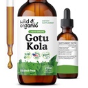 ワイルド&オーガニックGotu Kolaハーブのチンキ - 脳サポート - Gotu Kola液体エキスのドロップ - ビーガン、砂糖&アルコールフリーCentella Asiaticaサプリメント - 2 fl oz