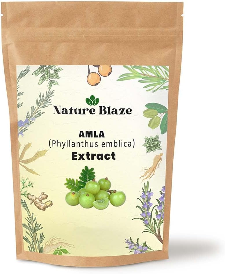 Amlaのエキスの粉7 Oz (200GM/0.4 lb)