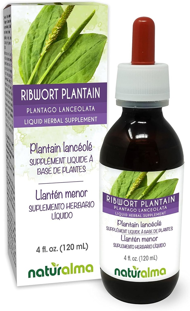 ナチュラルマリブワートプランタンまたはナロウリフトプランタン(Plantago lanceolata)リーフアルコールフリーのチンキ - 4 fl oz 液体エキス ドロップ - ハーブサプリメント - ビーガン