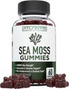 Irish Sea Moss Gummies - 3000MG - Formulated w/ Irish Sea Moss, Bladderwrack & Burdock Root, Contain Essential Vitamin & Mineral - Antioxidant-Rich Superfood Supplement, 60 Sea Moss Gummies for Adults