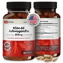 DailyNutra KSM-66 Ashwagandha 600mg オーガニック ルート エキス - 5% のwithanolides の高い効力の補足 | 疲れを取り除き、リラックス、焦点、エネルギーおよび筋肉成長を支えて下さい(60 のカプセル)