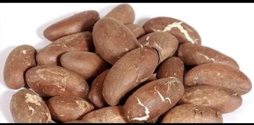 ビターコラナットガルシニアコラコーラ1 Lb