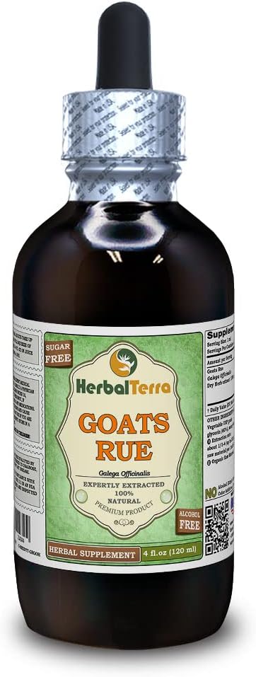 Goat's Rue(Galega officinalis)グリセライト、有機乾燥ハーブアルコールフリー液体エキス(ブランド名:HerbalTerra、米国製)4 fl.oz(120 ml)