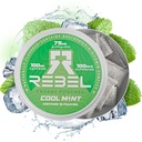 向知性エネルギーカフェインポーチ•100mgカフェイン•アルファGPC•ハペルジンA&エッセンシャルビタミン•砂糖フリー•ココナッツ繊維技術•クールミントフレーバー•缶15袋(パッケージ1)