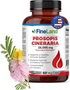 FineLand Prosopis Cineraria 40:1 エキス – 28,000 mg 最大強度 – フルスペクトラム – Cholesterolをサポート, 循環 & 動脈の健康 – 非GMO, グルテンフリー – 60 ビーガンカプセル