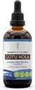 Tribe Gotu Kola Tinctureアルコールフリー液体エキス、Gotu Kola(Centella Asiatica)乾燥ハーブ(4 Fl Oz)の秘密