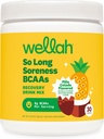 Wellah So Long Soreness BCAAパウダー(Pina Colada Flavored)30サービング - Hydration Complex