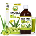 ベーシックアーユルヴェーダ・グーズベリー+アロエ・ベラジュース – 16.23 Fl Oz (480ml) | 50-Fifty 免疫・消化・皮膚の健康のためのハーブミックス | アマラ&アロエブレンド | 100% ナチュラル | 毎日のアーユルヴェーダ・トニック