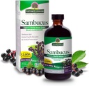 Nature's Answer Sambucus Elder Berry Extract Syrup 8 Ounce(3パック) | 毎日の免疫サポート | 抗酸化剤でパック | ファミリーフレンドリー | フルー シーズンディフェンダー