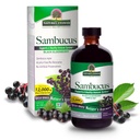 Nature's Answer Sambucus Elder Berry Extract Syrup 8 Ounce(3パック) | 毎日の免疫サポート | 抗酸化剤でパック | ファミリーフレンドリー | フルー シーズンディフェンダー