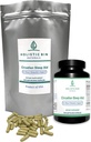 ホルリスティック・ビン・シラカディアン・スリープ・エイド|大人向け全自然睡眠補助金|L-テアニン、マグネシウム、バレリアン・ルート、睡眠補助金によるノンハビット成形