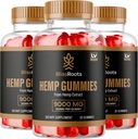 (3パック) Bliss Roots Gummies 300 gummy、BlissRoots Gummies、Bliss Roots、Bliss Roots Gummy、Bliss Roots Gummies、有機BlissRoots Gummies、Bliss Roots Supplement Gummy、90 Gummies 3ヶ月