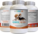 犬の咀嚼のためのプロバイオティクス - 犬のPROBIOTICS - 悪い呼吸とガス溶液を渡す - 経口健康 - フォスフォーミュラ - 1ボトル(60トリート)