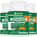 Liposomal Artemisinの補足1000mg、200mg QuercetinのPhytosomeの甘いWormwoodのエキス、Antioxidant 180のカプセルのための最高の吸収