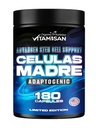VITAMISAN Celulas Madres 180カプセル - 幹細胞ブルーグリーン藻 - 非GMO -グルテンフリーAFA -Celula Madreサプリメント - ライオンのマネ・ベータ・グルカンは健康な老化をサポートし、免疫スピルリナを促進します。