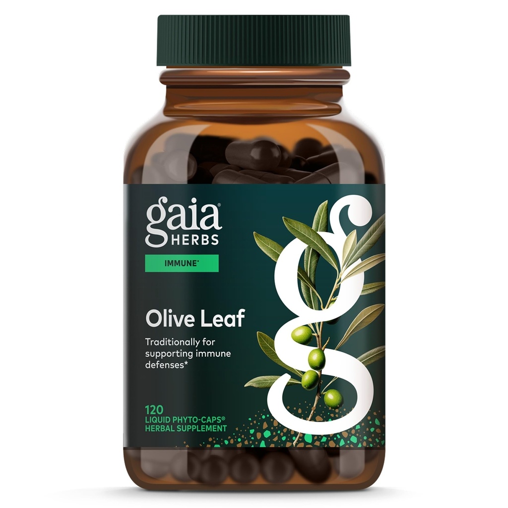 Gaia Herbs Olive Leaf - Traditional Immune Health Support - Immune System Supplement with Olive Leaf Extract & Oleuropein* - 120 Vegan Liquid Phyto-Caps (120 Servings)