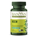 バンヤン植物性ニーム錠 - 有機ニームリーフ(Azadirachtaインディカ) - 自然な解毒、健康な肌、免疫の健康をサポート* - 90錠 - 非GMO持続的に供給ビーガン