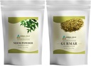 HERBAL HILLSのNeemの葉の粉およびGurmarの粉の体育館のSylvestreのパック2のコンボ